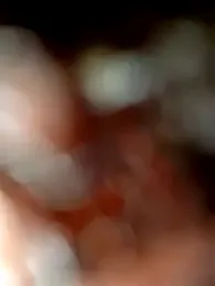 adem63636 webcam stripchat model stream image