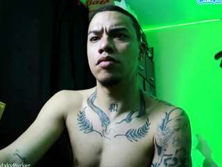 osiiriis webcam model stream image