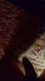 KTrashMilf webcam cam4 model stream image