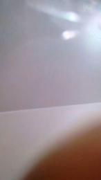 CodingNinja1 webcam model stream image