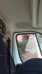 James25nava webcam cam4 model stream image