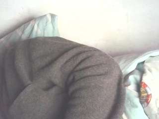 aannal webcam model stream image