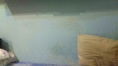 Ori_08 webcam cam4 model stream image