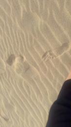 Zeigegeiler69 webcam model stream image