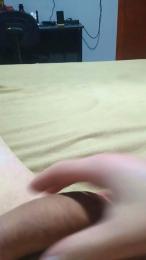 pirocudo81 webcam model stream image