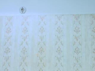 Tracy Bank webcam model stream image