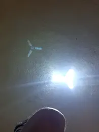 PeneBoybox webcam model stream image