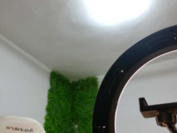 EmilyxJames bongacams stream image