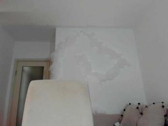 MiaMeowa bongacams stream image