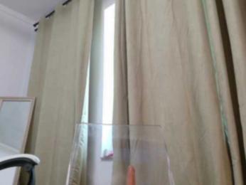 EmilyxJames bongacams stream image