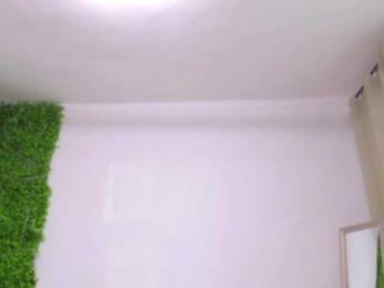 EmilyxJames bongacams stream image