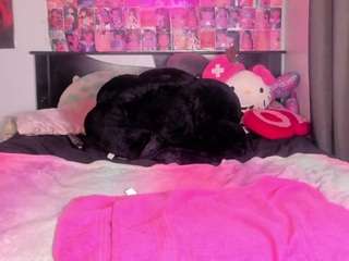 karliekayozz camsoda stream image