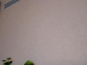 pafosstar chaturbate stream image