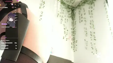 lucille_evans stripchat stream image