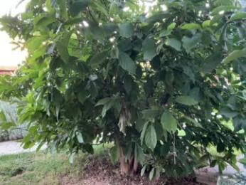 patry333 chaturbate stream image