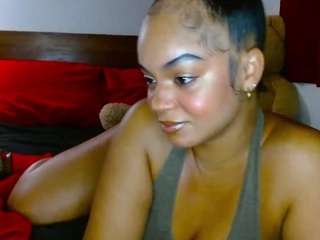 giatailor camsoda stream image