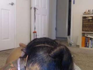 elegance camsoda stream image