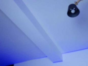 EmilyxJames bongacams stream image