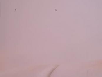 pafosstar chaturbate stream image