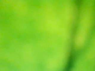 stalliontheesavage camsoda stream image