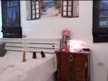 thaidream25 chaturbate stream image, 22.11.2025 03:00