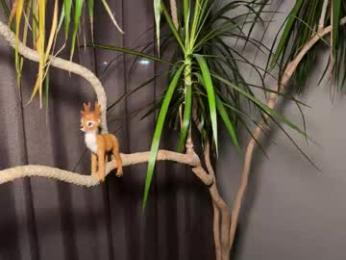 aronyou_win chaturbate stream image