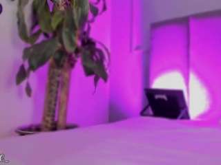 gipsytreen camsoda stream image