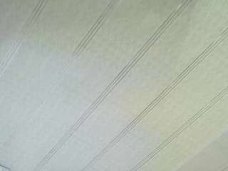 maeve-ds camsoda stream image