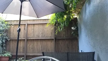 TopsyWilde stripchat stream image