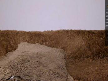 Tina_may bongacams stream image