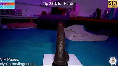 Ana_Lingus stripchat stream image