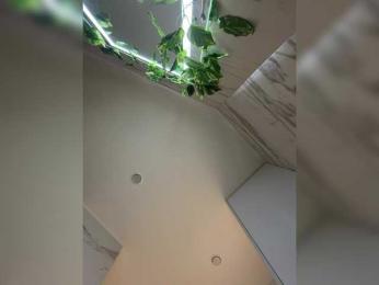 -Darkness- bongacams stream image