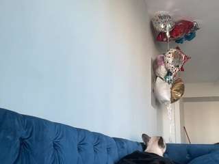 laladoll camsoda stream image