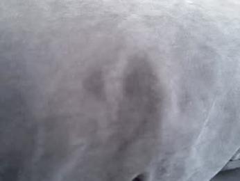 quantum_heart chaturbate stream image