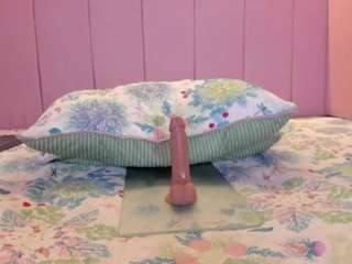 stefaagomez camsoda stream image