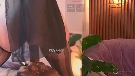 nicdani_1 stripchat stream image