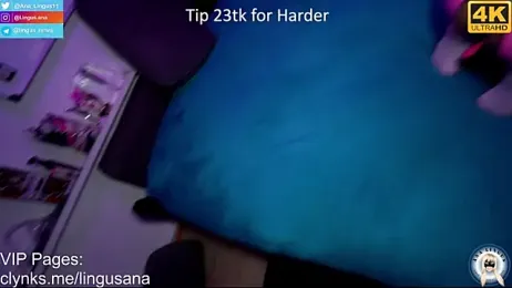 Ana_Lingus stripchat stream image