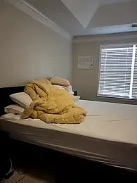 HollyTattoo stripchat stream image