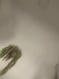 valeria2019hot stripchat stream image