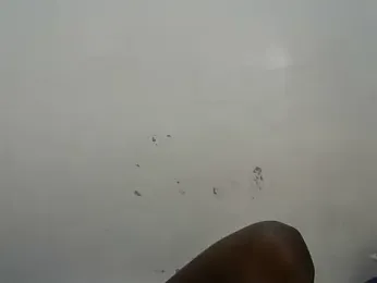 Rasta_tattooed stripchat stream image