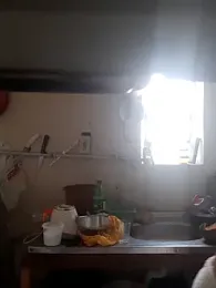 pedrodavid_ stripchat stream image