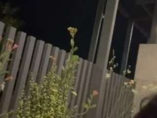 carmensindiego camsoda stream image