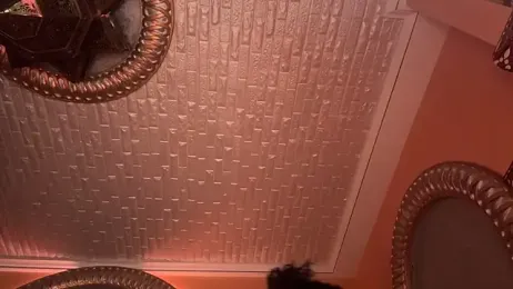 ORLA86 stripchat stream image