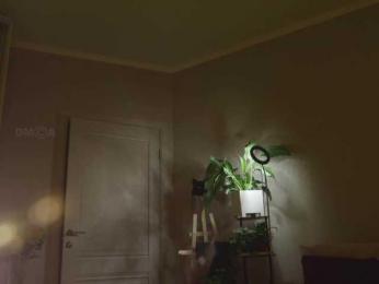 KOTTYAA bongacams stream image, 21.08.2026 16:40