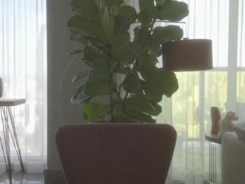 emma_lu1 chaturbate stream image