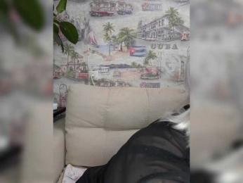 Anesteishen bongacams stream image