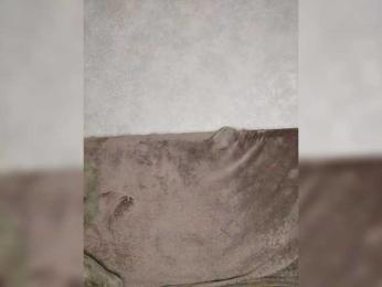 JennyDooley bongacams stream image