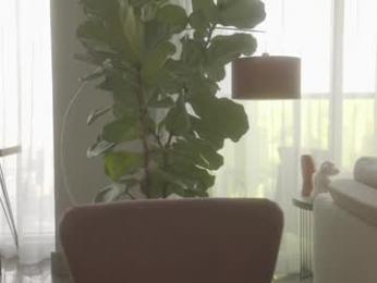 emma_lu1 chaturbate stream image