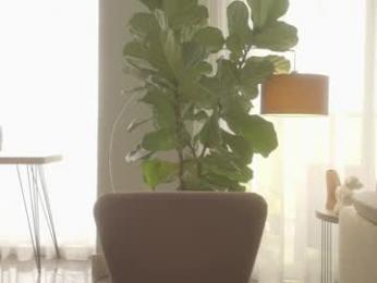 emma_lu1 chaturbate stream image