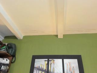 Monika Ortiz flirt4free stream image